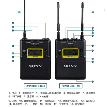 索尼 D11小蜜蜂 无线领夹式 专业录音话筒麦克风